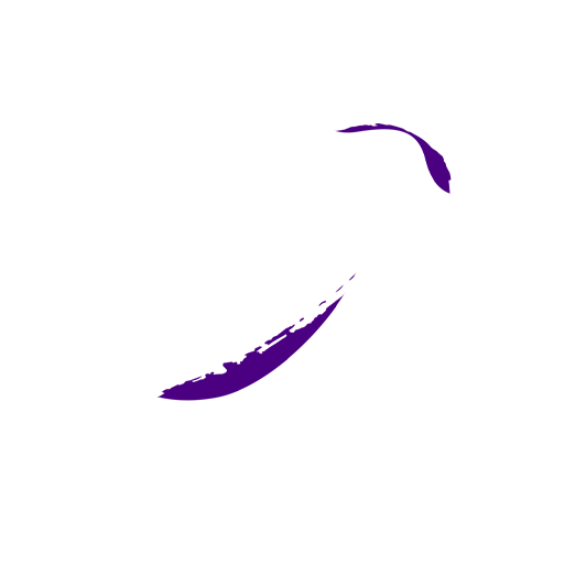 Luma Studio